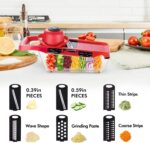 Multi‑Functional 10‑in‑1 Mandoline Slicer | Vegetable Cutter, Peeler, Chopper, Grater & Shredder - Image 2
