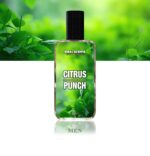 Citrus Punch Fragrance | 50ml | Inspired by Aventus Creed | Long Lasting 8–10 Hours | Made in Pakistan - Image 3